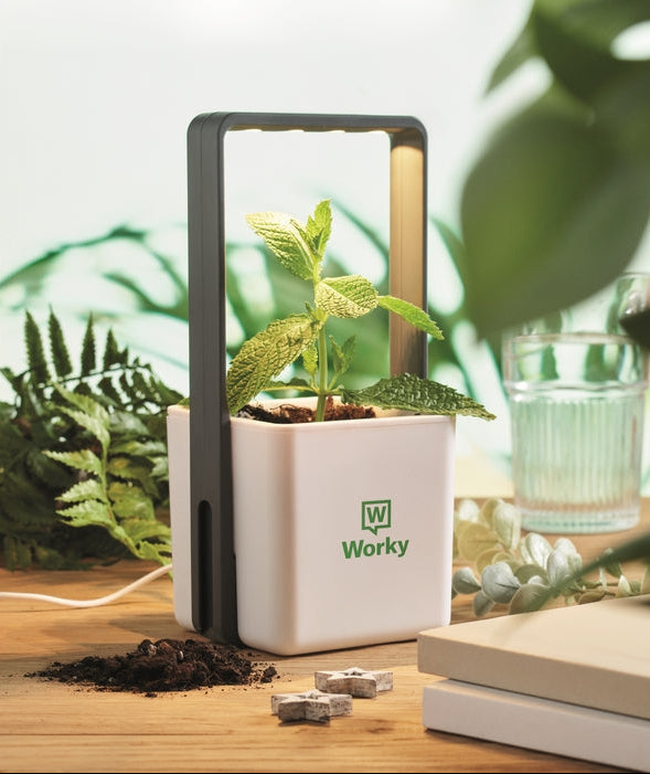 A Worky indoor vertical garden with a white square planter and a black frame, shown on a wooden table with a small green plant growing inside. The background features blurred houseplants and a glass of water.