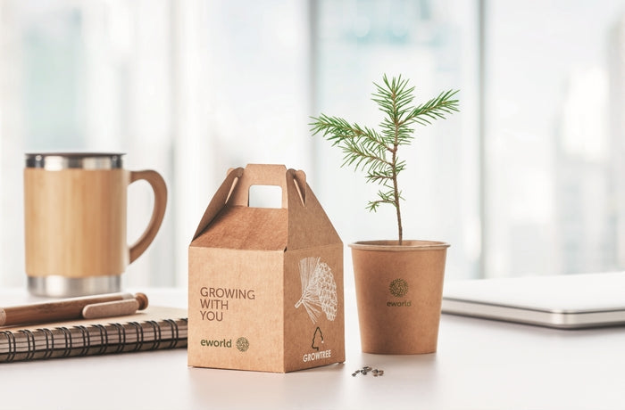 A kraft paper gift box with a handle and a small potted sapling on a tabletop, alongside a mug, notebook, and laptop in a softly blurred indoor setting. The box and cup are branded eworld.